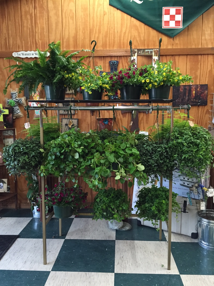 Bonsai Tree 22 Beautiful Bonsai Garden San Angelo Tx Ideas