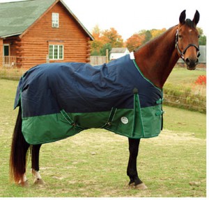 a horse wearing a blanket
