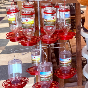 Hummingbird Nectar  Feeders at Recipe