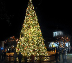 Light the Night Christmas Parade