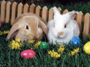 Easter_Egg_Hunt_1440x1080