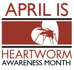 HeartwormAwareness