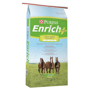 PurinaEnrichPlusHorse - green grass and horses