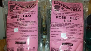 Maestro Rose Glo