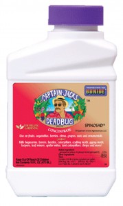 Captain Jack Deadbug Brew