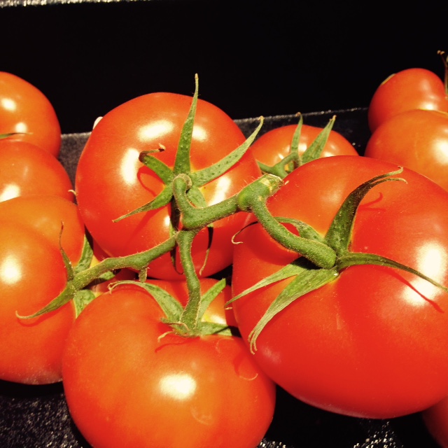 Grow Tomatoes