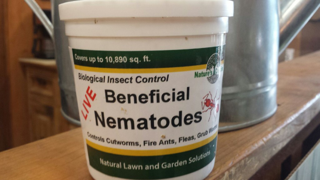 Beneficial Nematodes