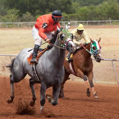 gillespie county horse racing