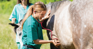 keep horses healthy