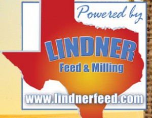 lindner logo