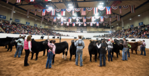 2017 - 2018 Livestock Shows