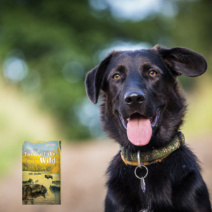 Taste of the Wild Pet Food | Lochte Feed