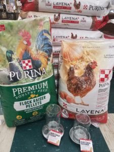 Bag of Purina Flockraiser and Layena Poultry Feeds