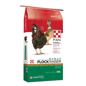 purina-flock-raiser-pellets