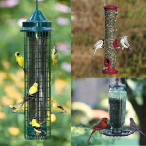 Preparing for Spring Bird Feeding