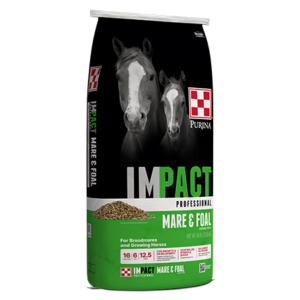 green bag of Purina Impact Professional Mare & Foal Horse Feed