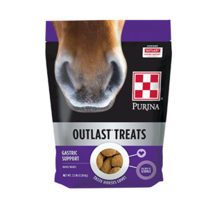 Purina Outlast Horse Treats 3.5-lb bag