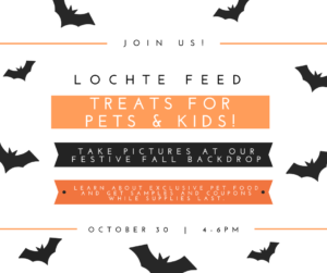 Treats at the feed store October 30, 2020