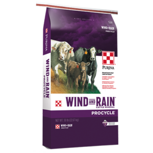 Purina Wind & Rain Procycle 