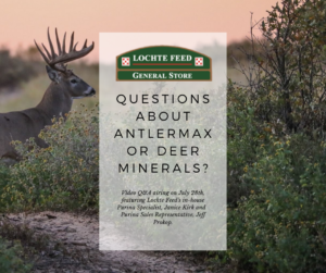 AntlerMax and Deer Mineral Q&A graphic advertisement featuring a deer with antlers in the background