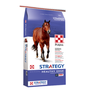 Purina Strategy Healthy Edge Horse Feed. Blue and white equine feed bag. Brown horse.