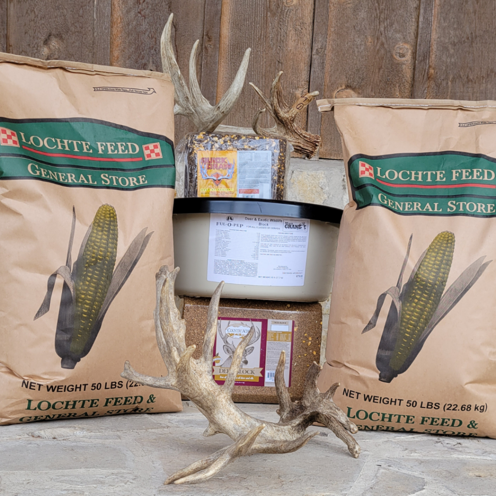 Draw Deer in with Lochte Feed Corn Lochte Feed & General Store