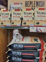 Replenish Dog Food Now Available