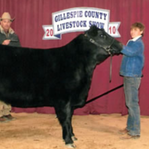 Gillespie Co. Youth Livestock Show