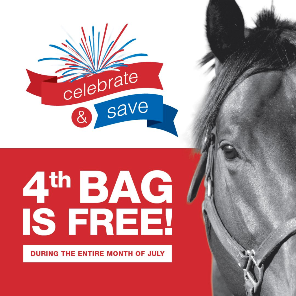 Buy 3 Get 1 Free Purina Impact Lochte Feed & General Store