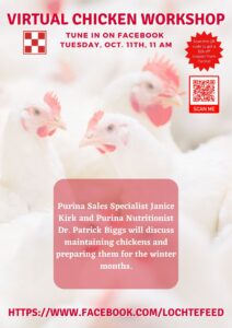 Flocktober Virtual Chicken Workshop