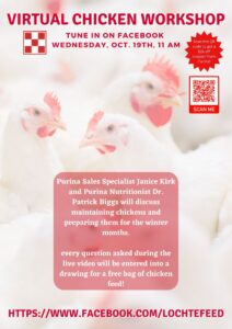 Flocktober Virtual Chicken Workshop