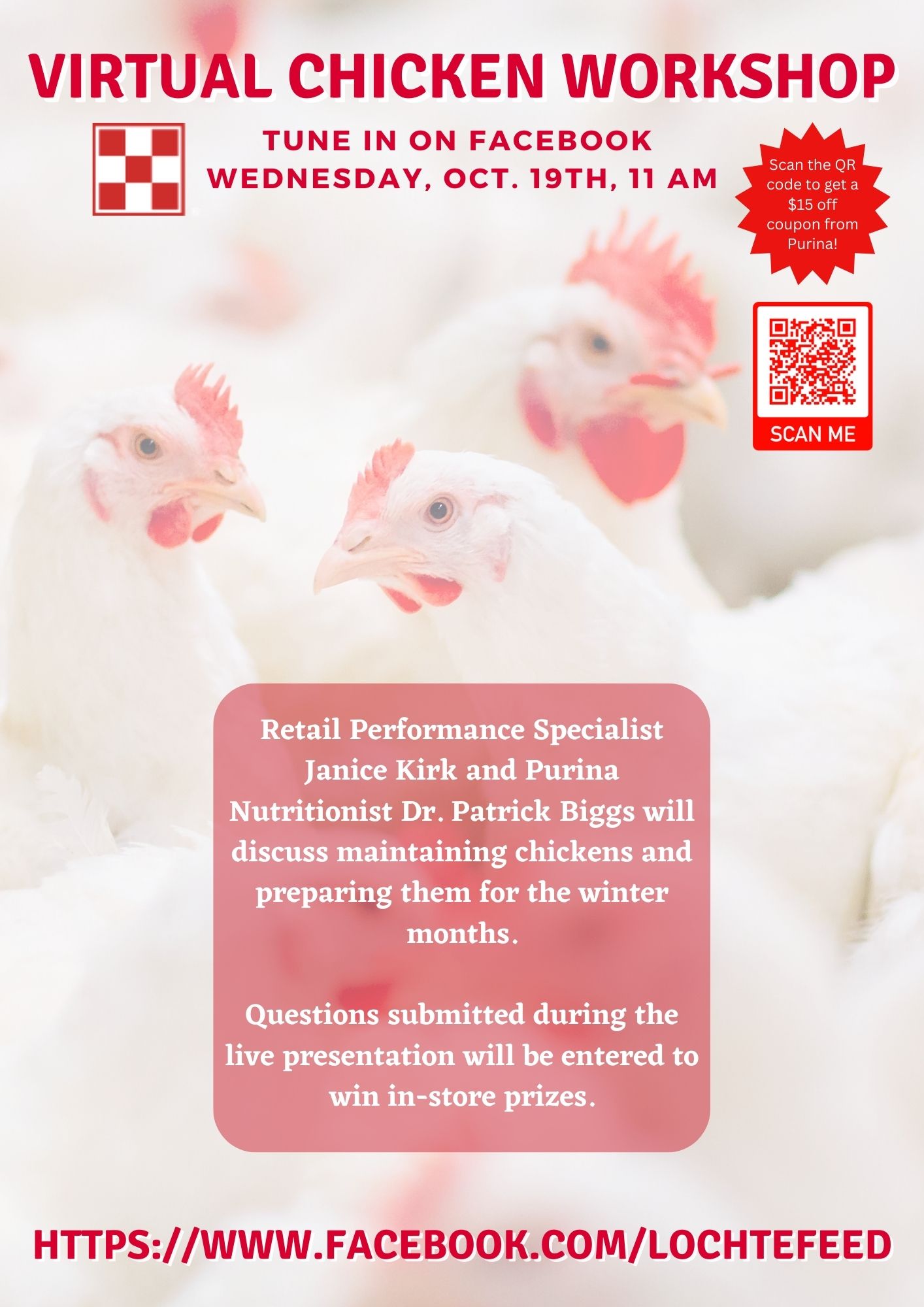 Flocktober Virtual Chicken Workshop