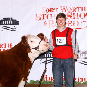 2026 Livestock Shows featuring photo of show cow and boy