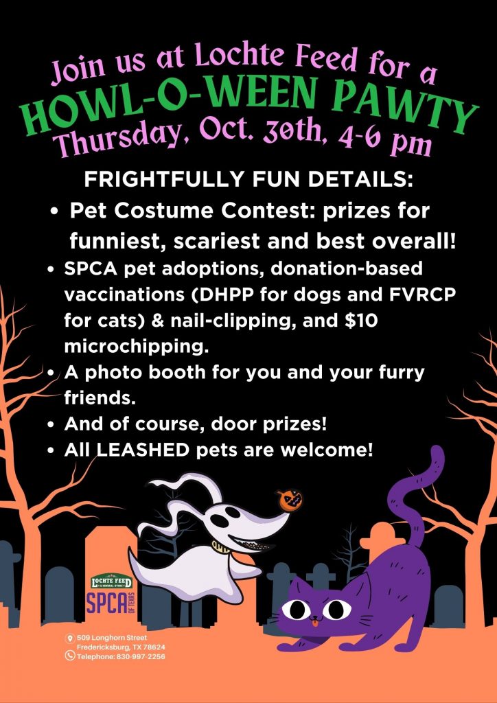 Howl-O-Ween Pawty details on halloween themed flyer featuring a spooky cat and a ghost dog