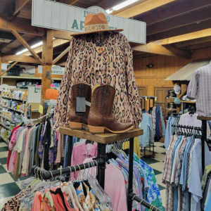 Lochte september september 2025