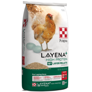 bag of Purina® Layena® + High Protein 19% Layer Hen Feed 
