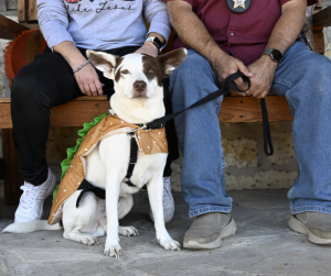 Lochte Costume Contest 5 Lochte Costume Contest 5