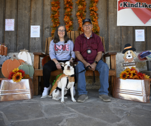 Lochte Costume Contest 5 pt. 2 Lochte Costume Contest 5 pt. 2