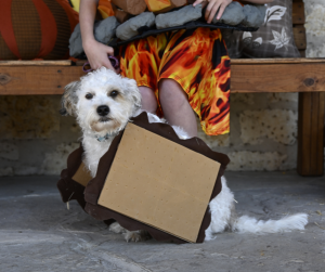 Lochte costume contest 3 pt. 2 Lochte costume contest 3 pt. 2