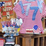 Patriotic shirt and decor