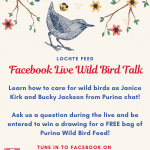 Colorful flyer with bird illustrations listing Facebook Live Wild Bird Talk details
