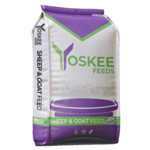 Yoskee Feed bag - purple, green and white.